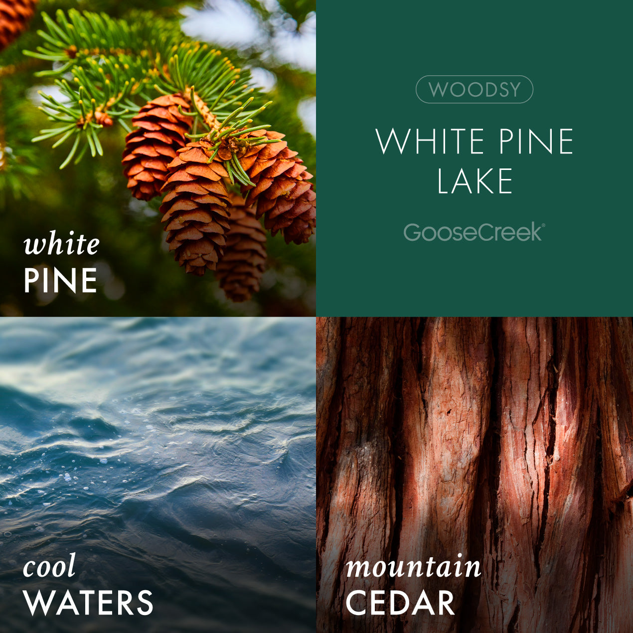 White Pine Lake Wax Melt