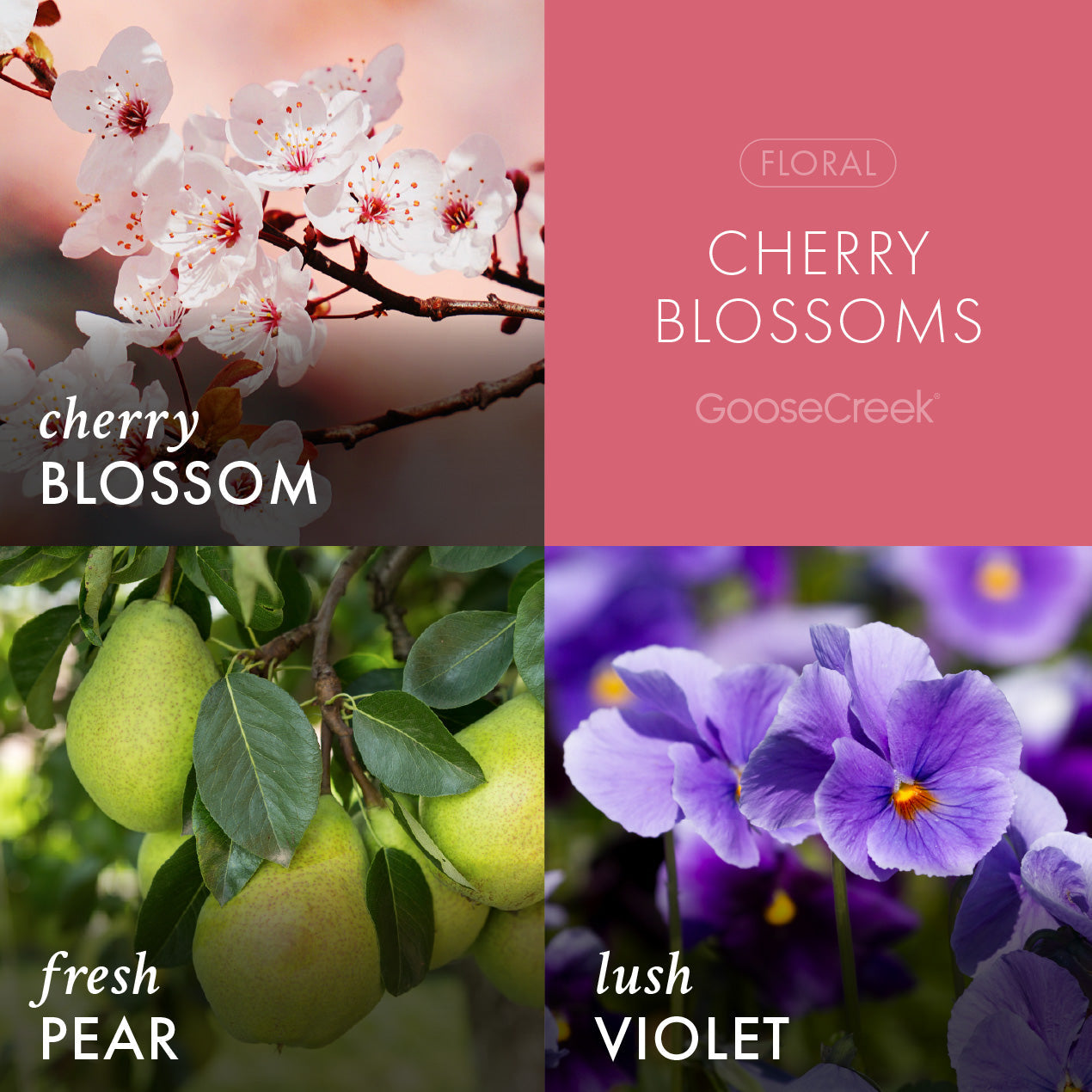 Cherry Blossom Lush Foaming Hand Soap