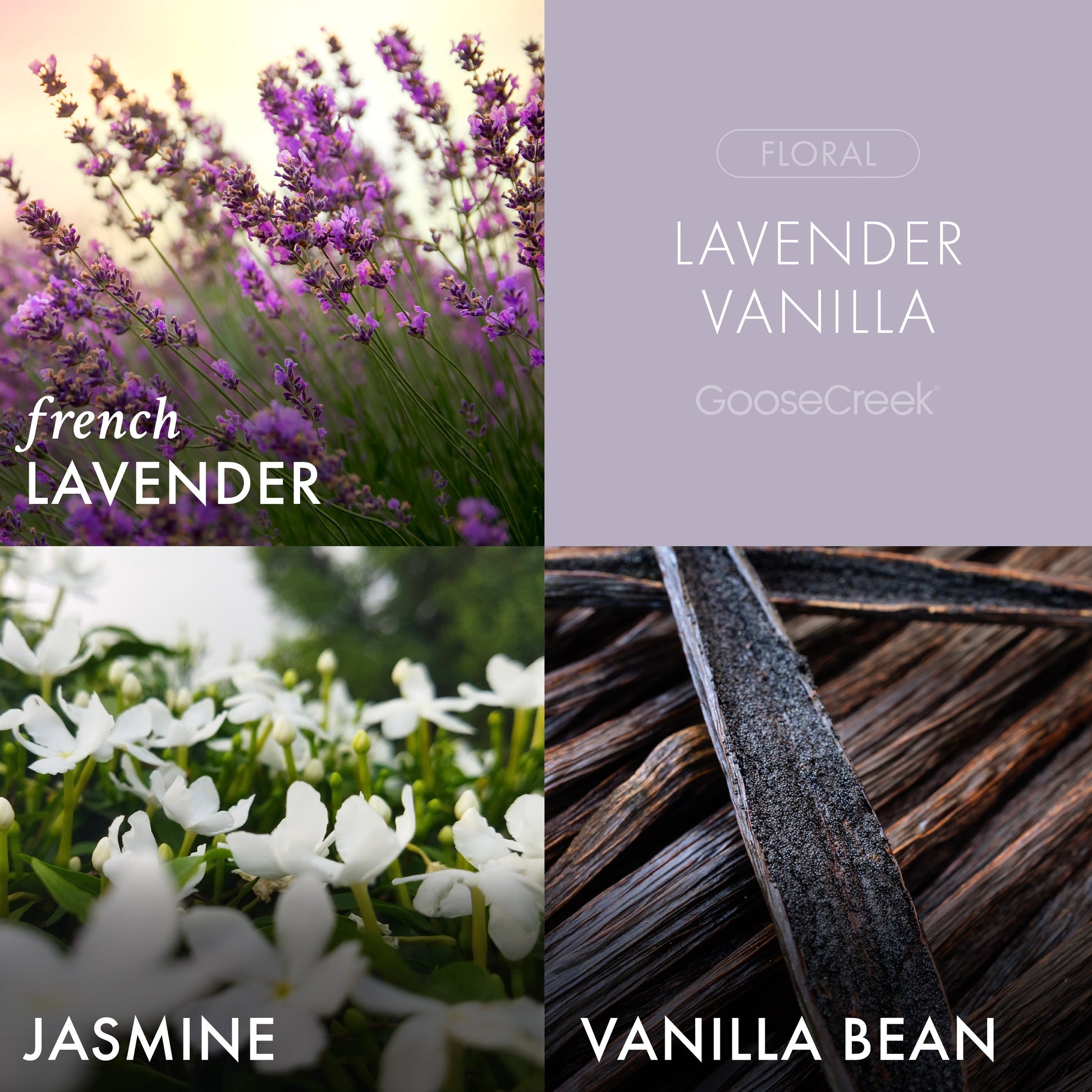 Lavender Vanilla 3-Wick Candle